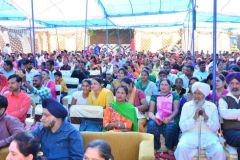 18831755664DSC_4317_compressed